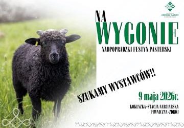 Szukamy Wystawców!!