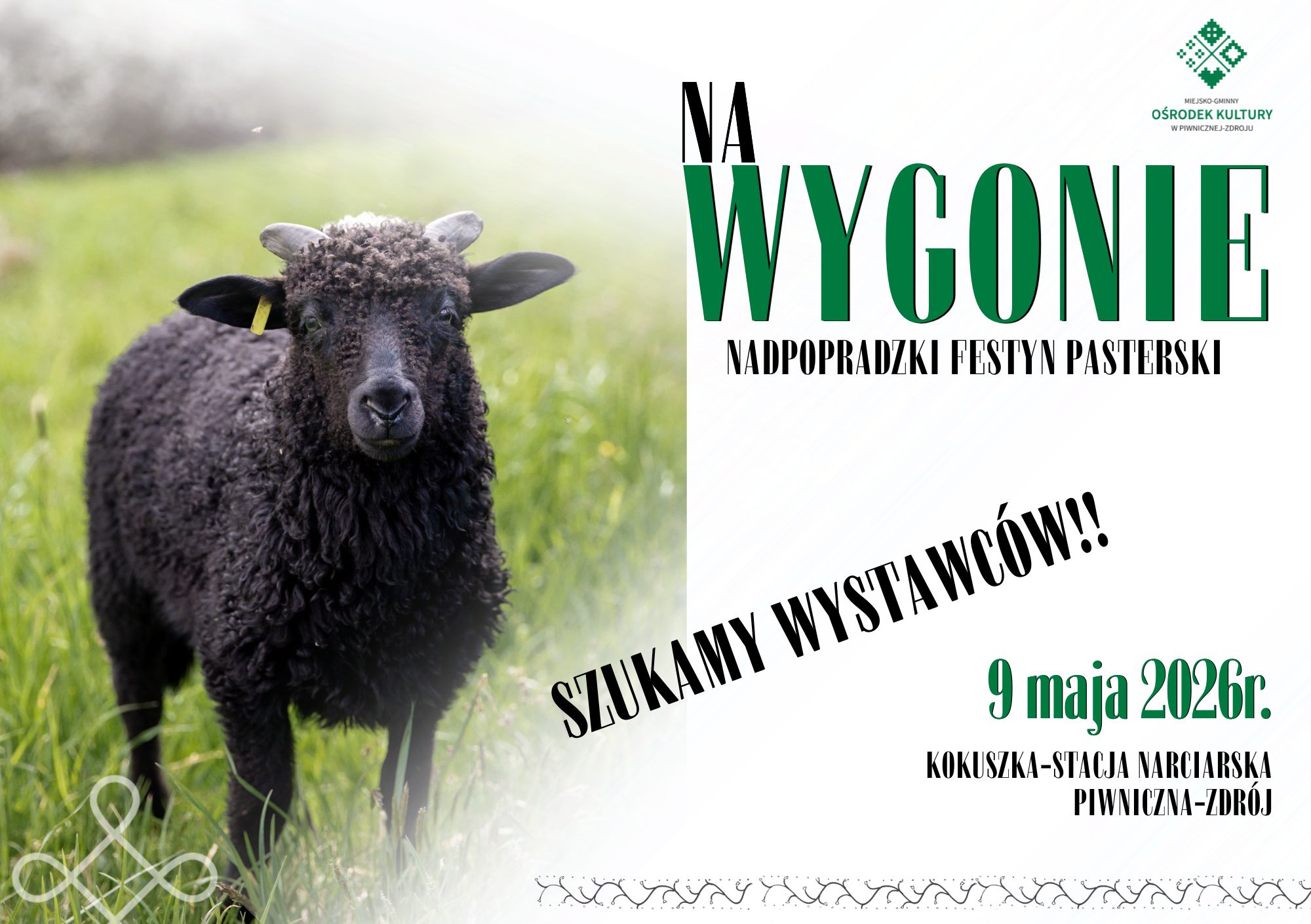 Szukamy Wystawców!!